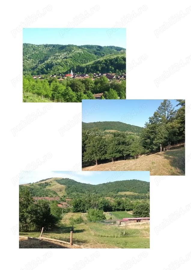 Casa cu ferma de vanzare - 5