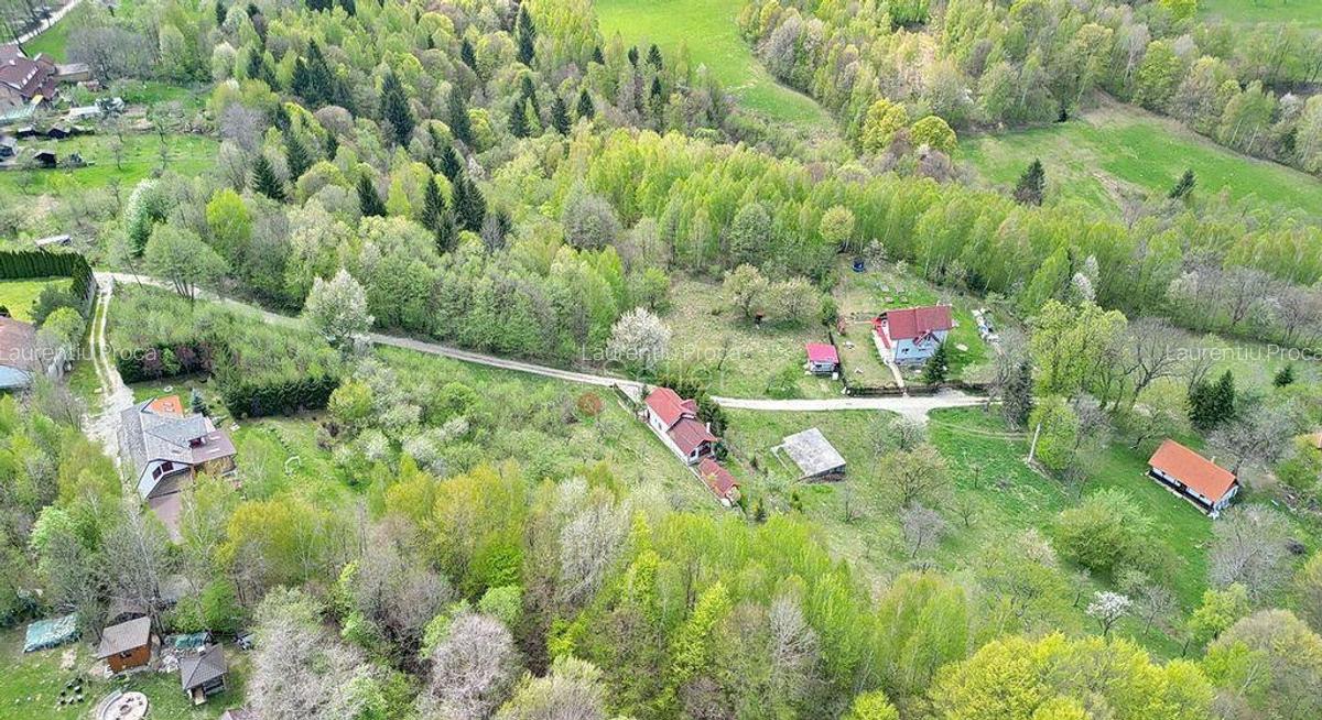 Teren intravilan Bran- Predelut - 8