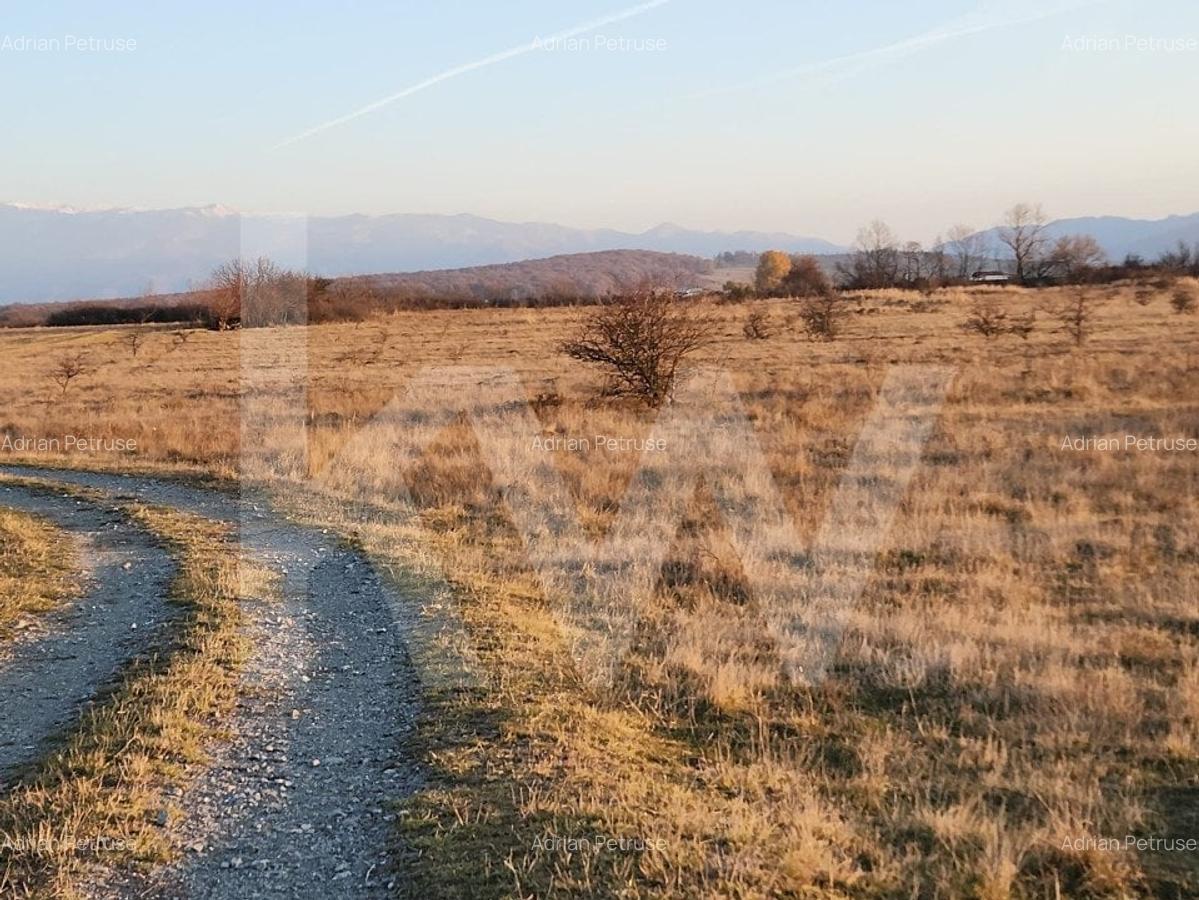 Oportunitate investitie | De vanzare, 3 parcele de 560 mp. - 3