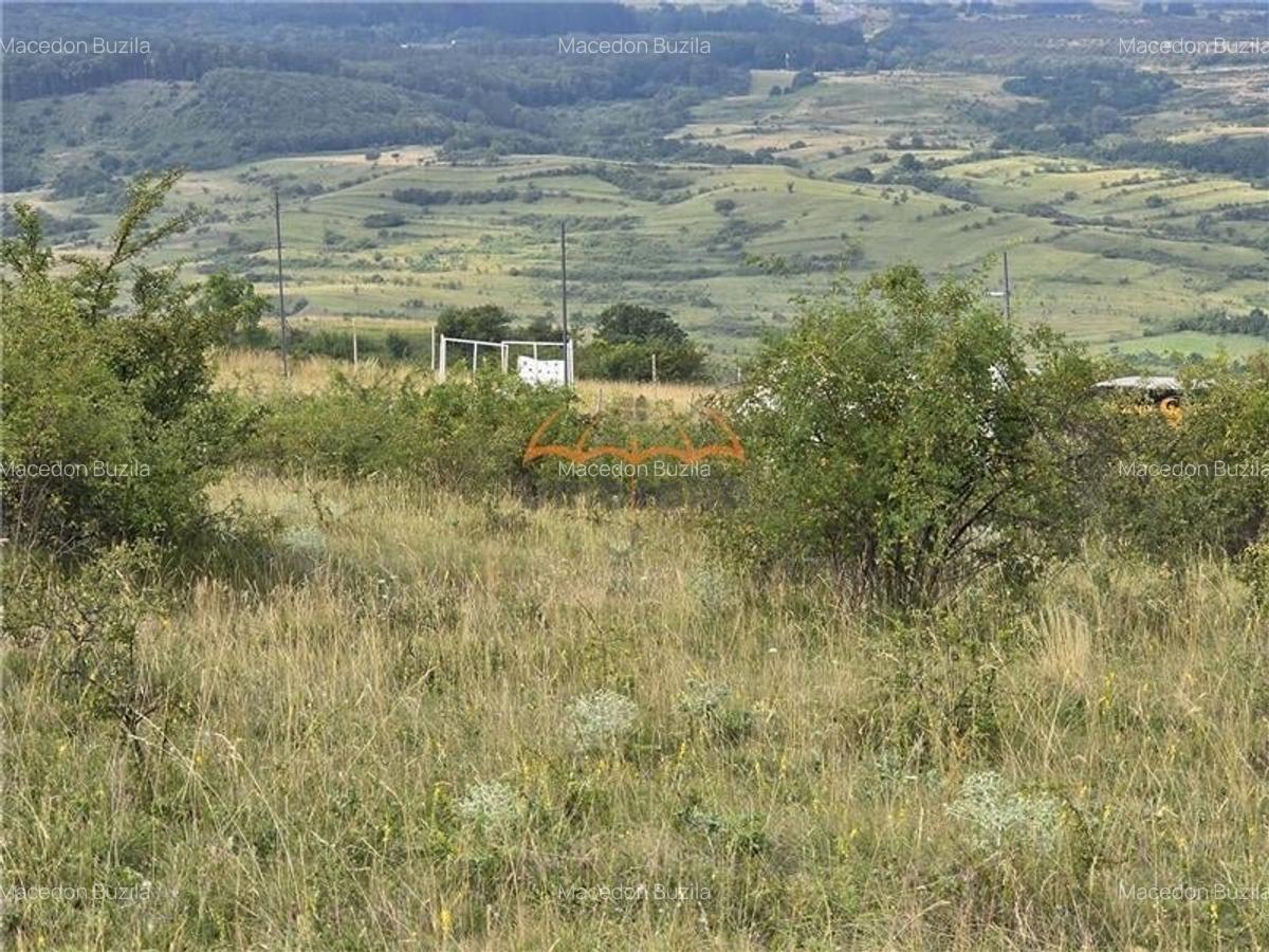 Teren de vanzare in Cluj-Napoca / Str. Soporului, intravilan, 1.380/? - 3
