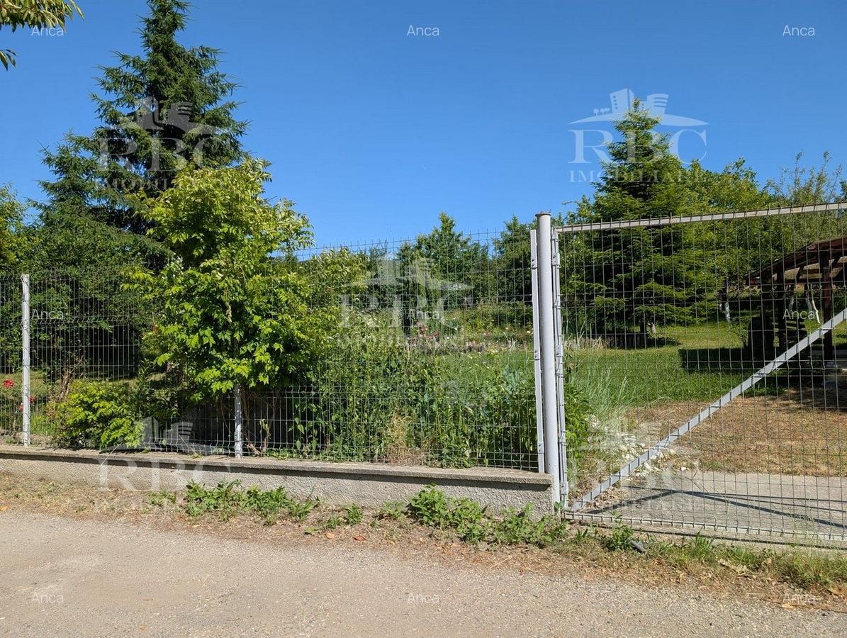 Teren pentru constructie casa in Faget - 4