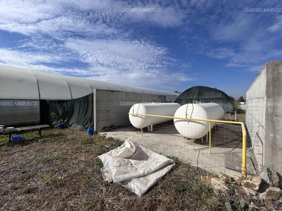 De vanzare-afacere la cheie - 9 De vanzare-afacere la cheie - 9