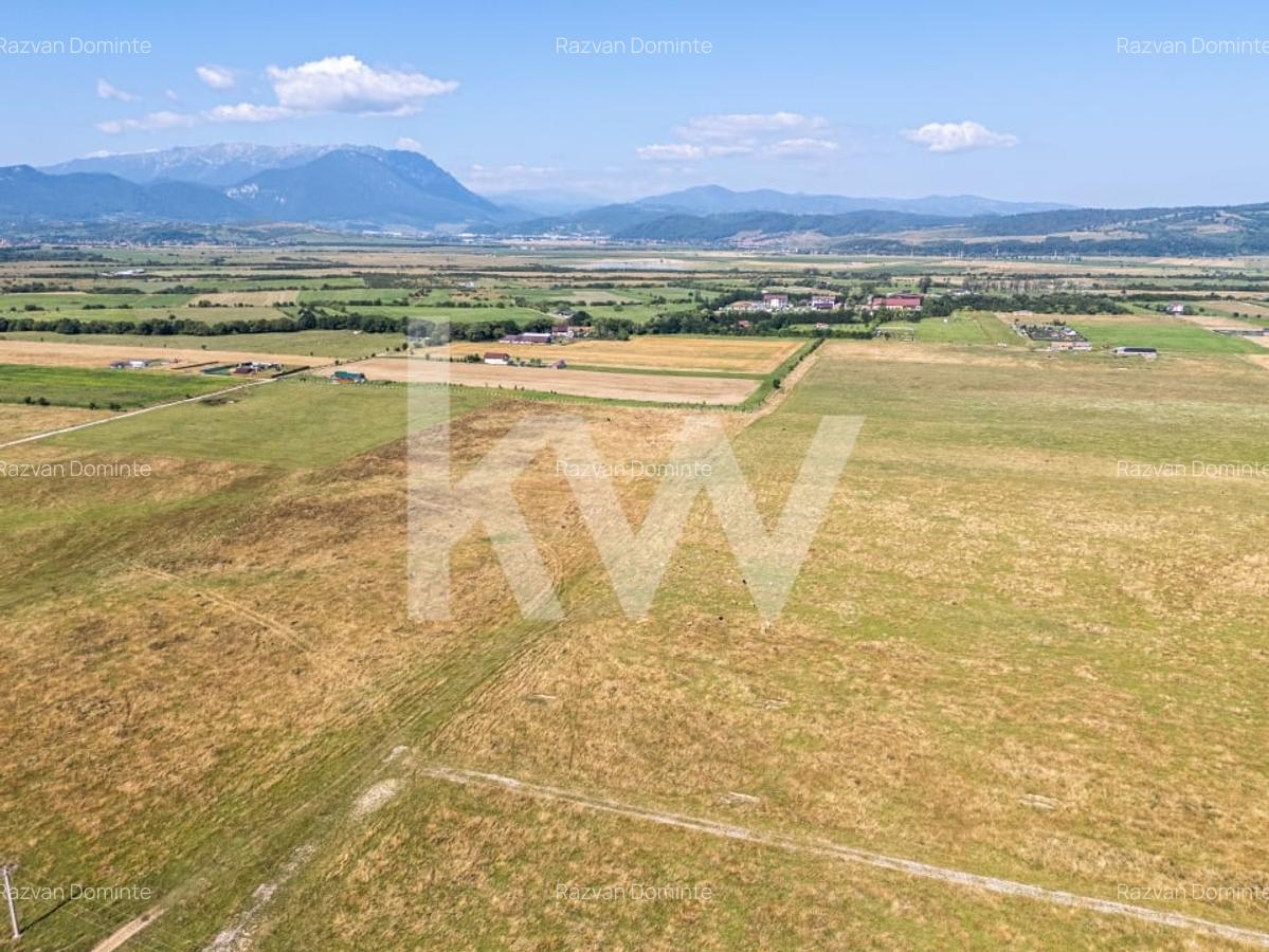 Teren : Parcele de 1.000 mp in Glajerie, Rasnov - comision 0% pentru cumparator! - 4