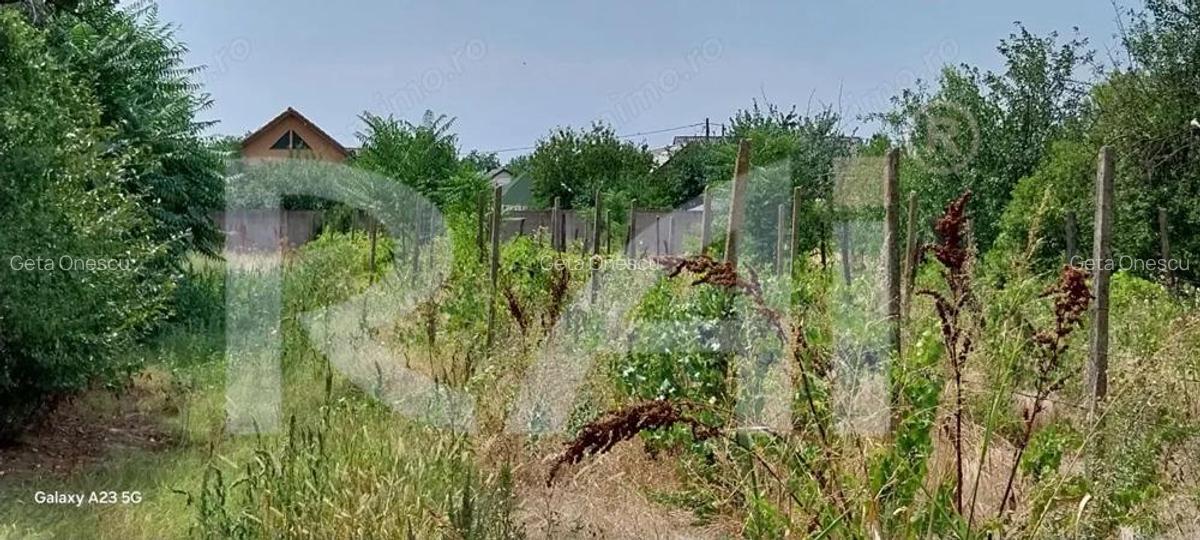 BOMBA! Investi?ie geniala: teren intre case, la doar 26 /m2 | 17 km de Craiova - 4