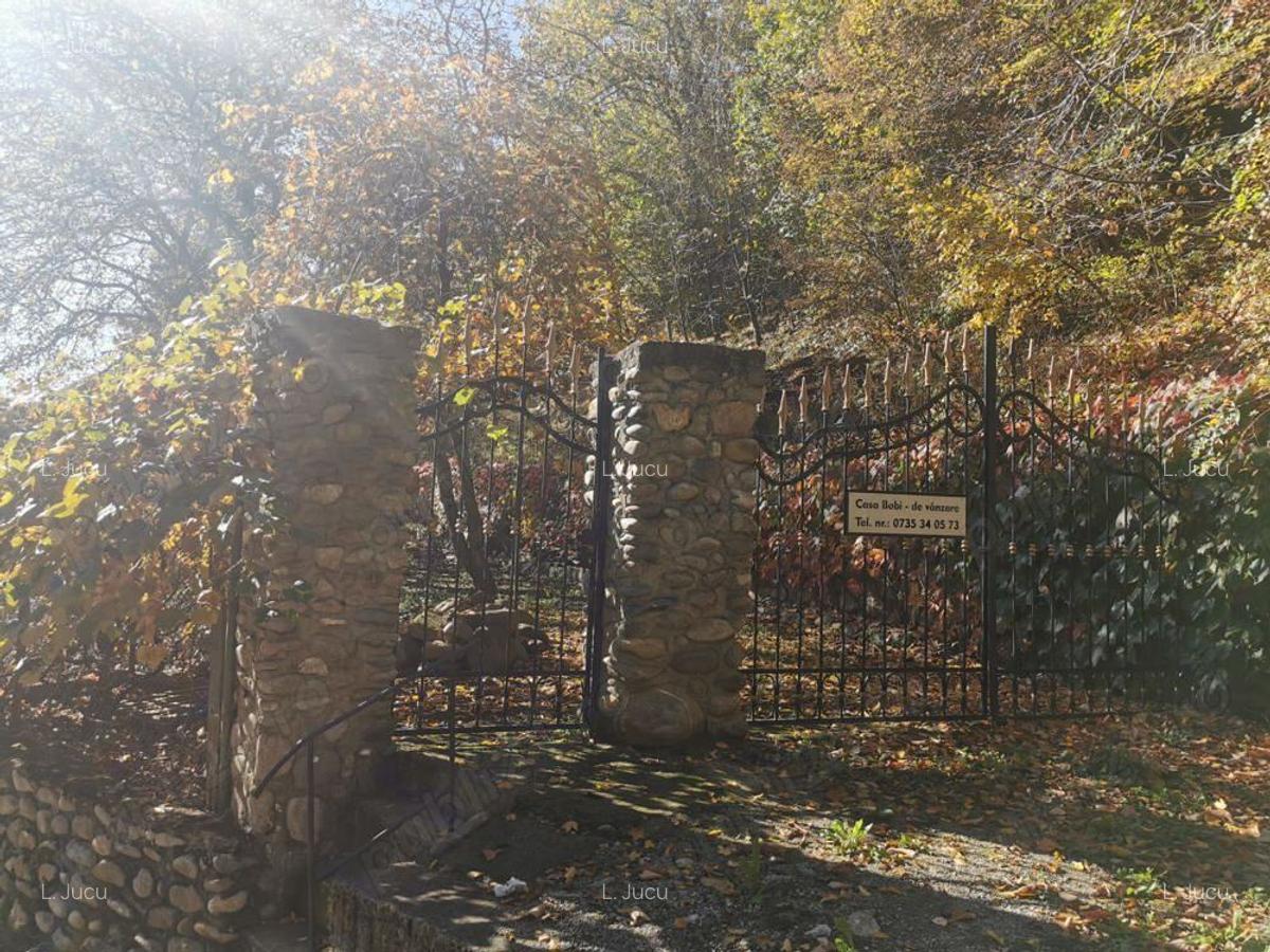 Vila Luminis & Casa Bobi isi cauta noi proprietari - 2