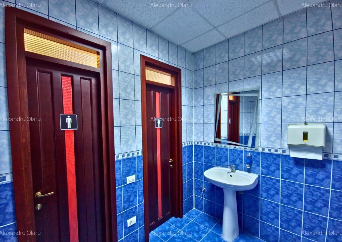 CLADIRE MULTIFUNCTIONALA - MIHAESTI, VALCEA - 9