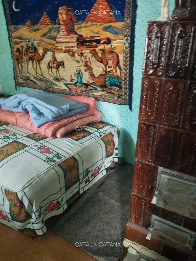 Casa de vanzare 120mp - 8