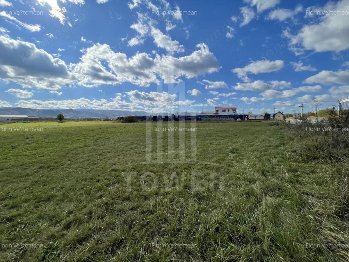 Teren industrial de vanzare in Cristian 6.000 mp, deschidere la drum asfaltat - 2