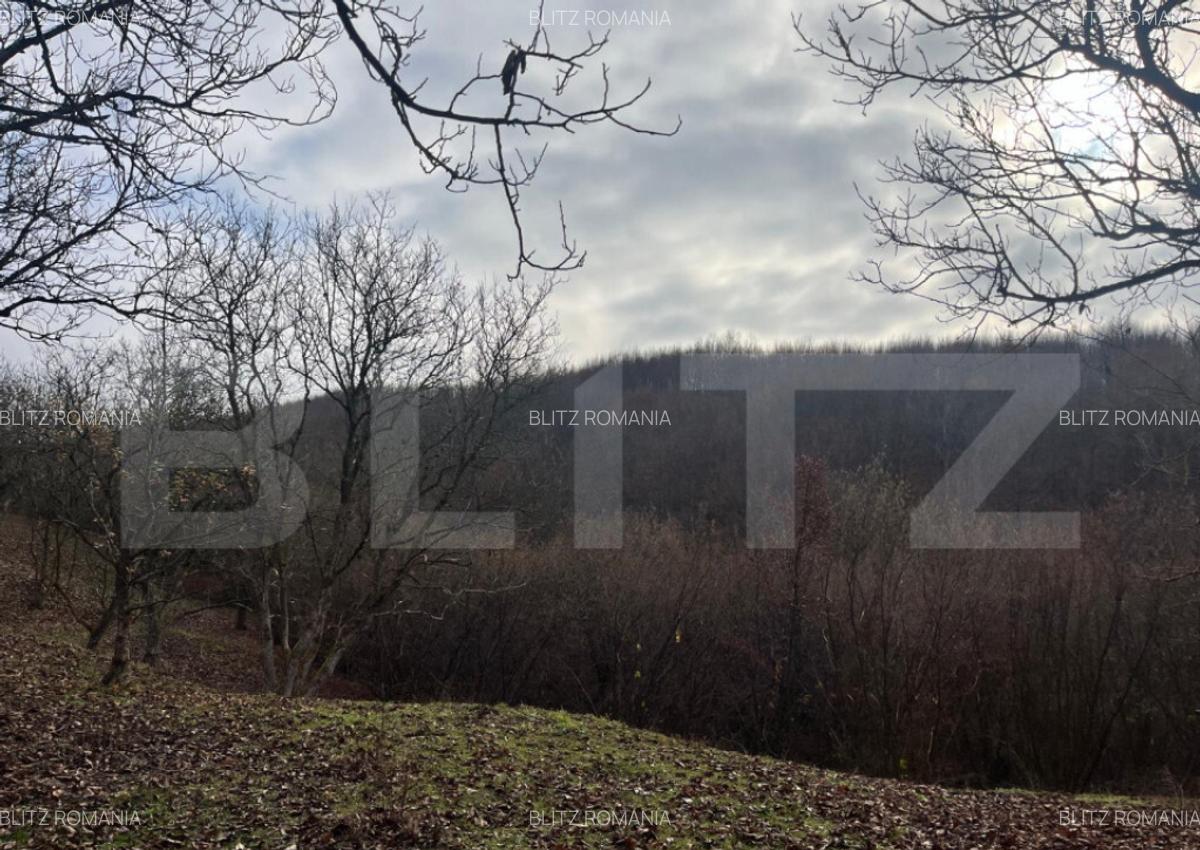 Teren extravilan, 4 hectare, langa livada de mere Ghinda - 6