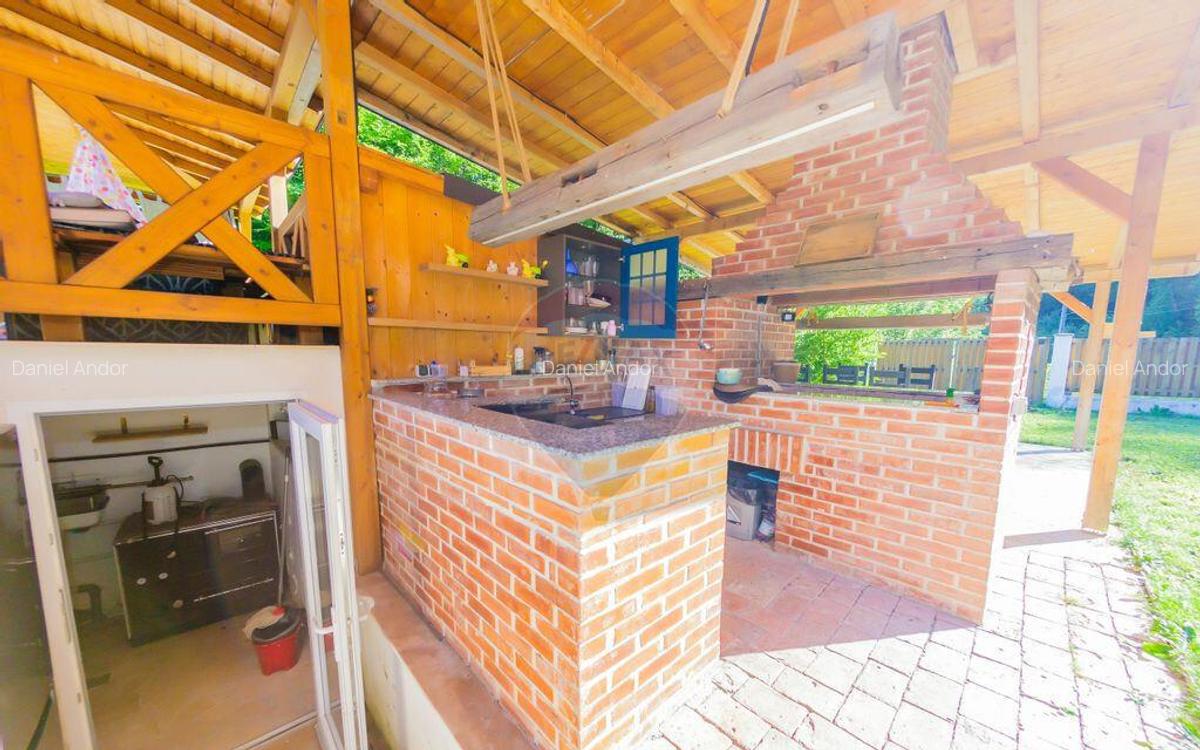 Casa de vis in Loc. Intrerauri - 14