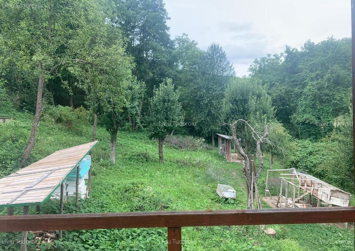Casa de vanzare la liziera padurii Comuna Boga?i,... - 15