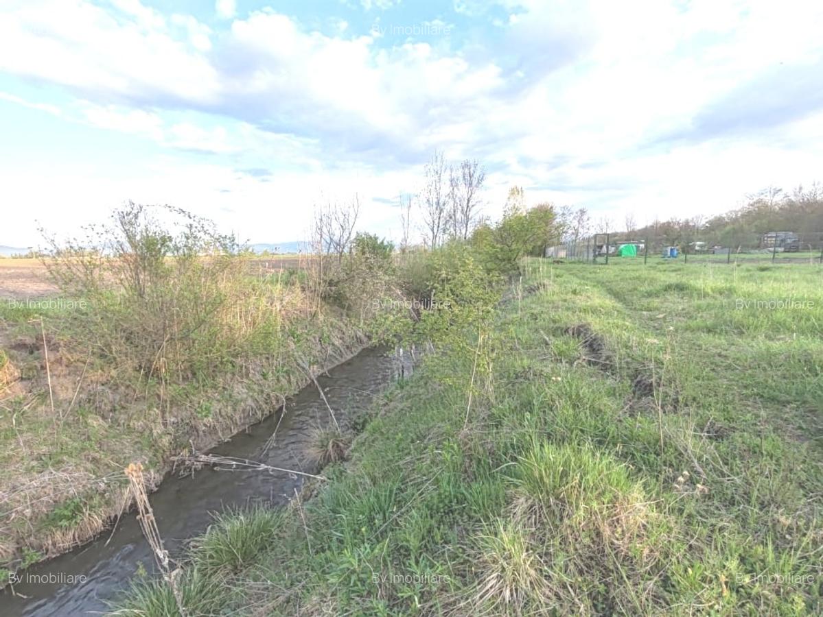 Teren ideal pentru casa de vacanta sau locuinta permanenta, la marginea padurii - 4