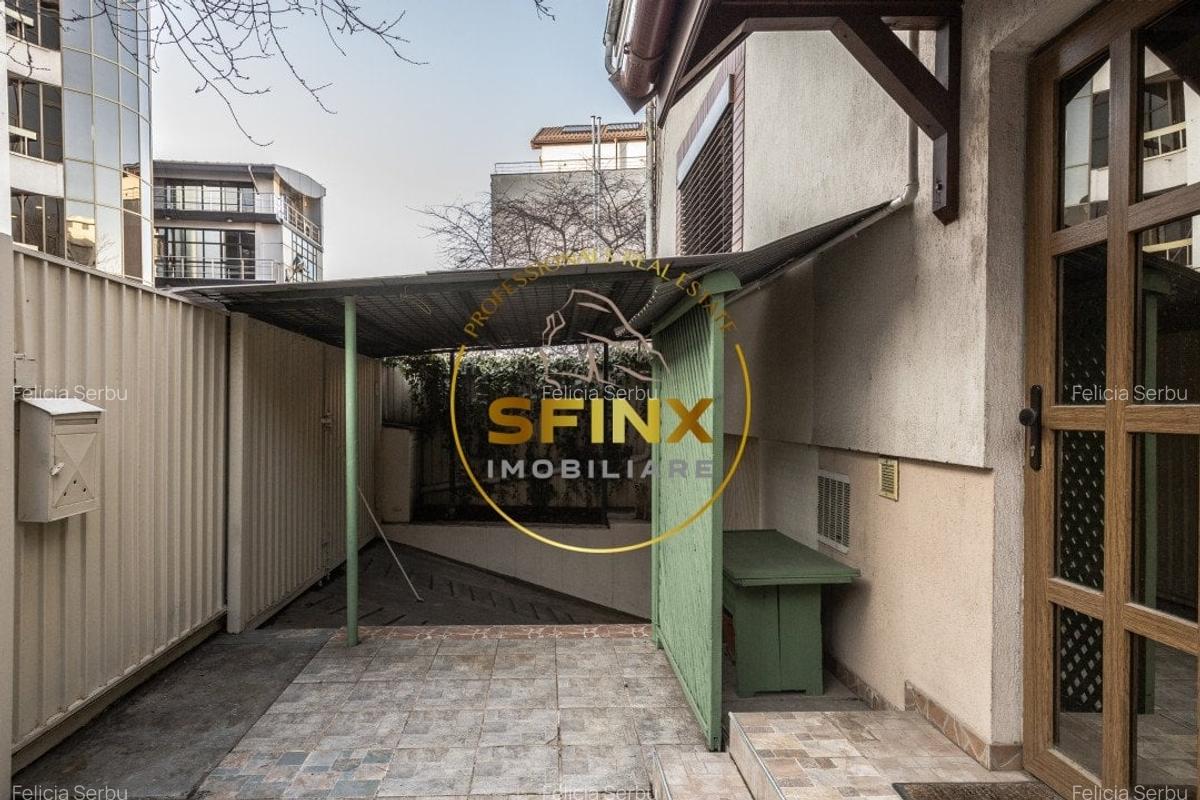 Piata Victoriei - Vila cu gradina proprie, garaj si terasa - 37