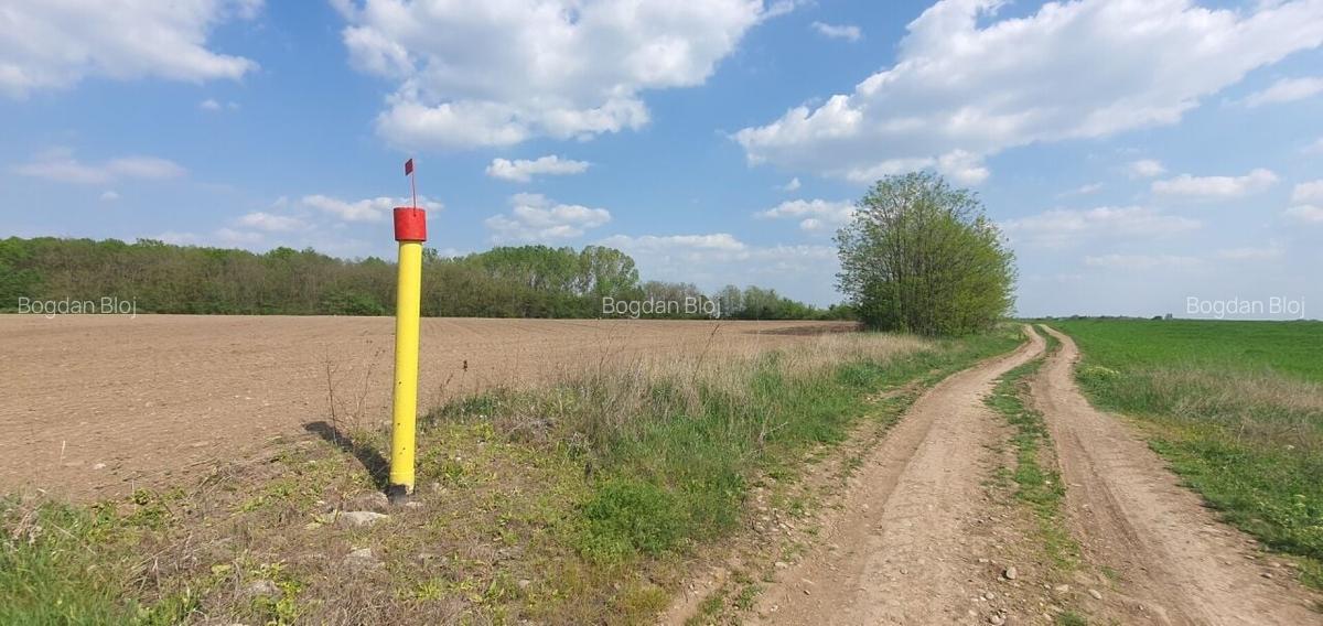 Teren intravilan Butimanu/Barbuceanu, Dambovita - 2