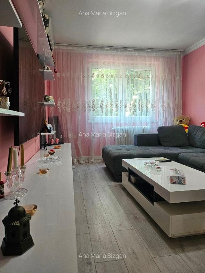Proprietar vand apartament 3 camere decomandat zona Teiul Doamnei preț 155.000 - 5