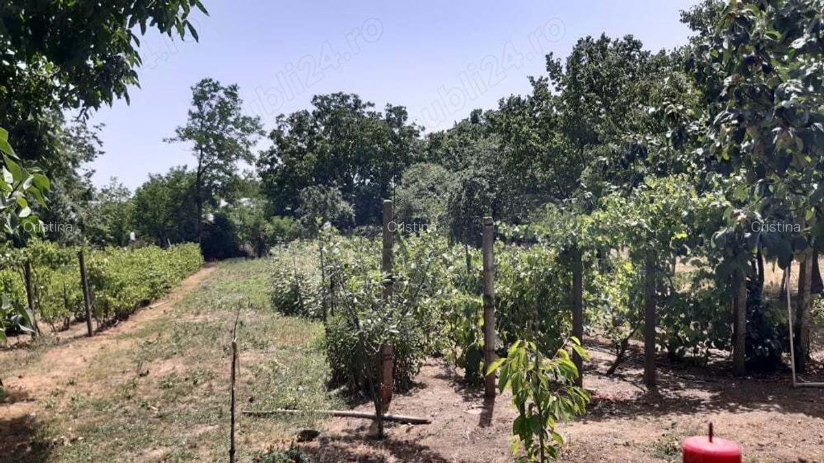 Vand casa cu teren intravilan in comuna Frumu?ani - 3