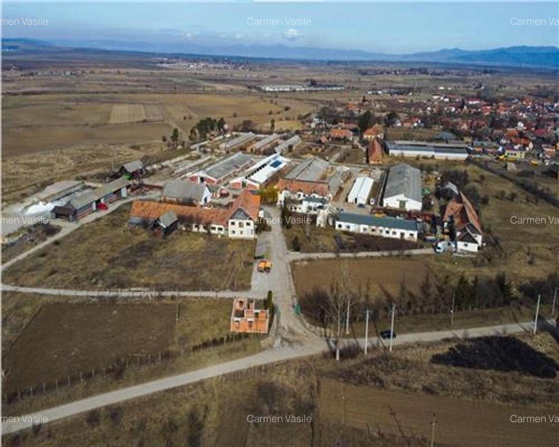 In areal linistit, acces facil, 120.000mp teren extravilan, Covasna , Borosneu M - 2