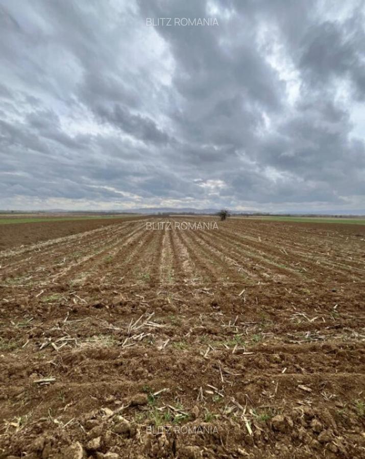 Teren extravilan 2500 mp,cu acces la Centura ,Radauti - 4
