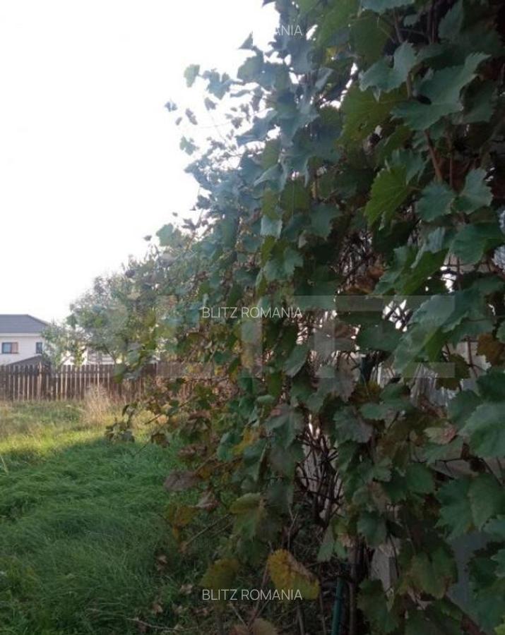 Vila individuala in Dumbravita, zona Lac-padure - 11