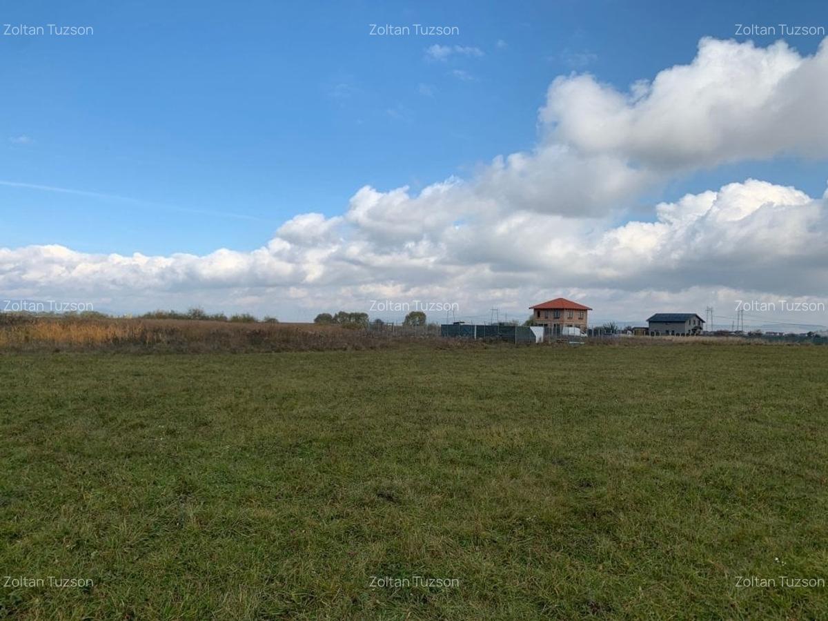 Teren de vanzare - 3