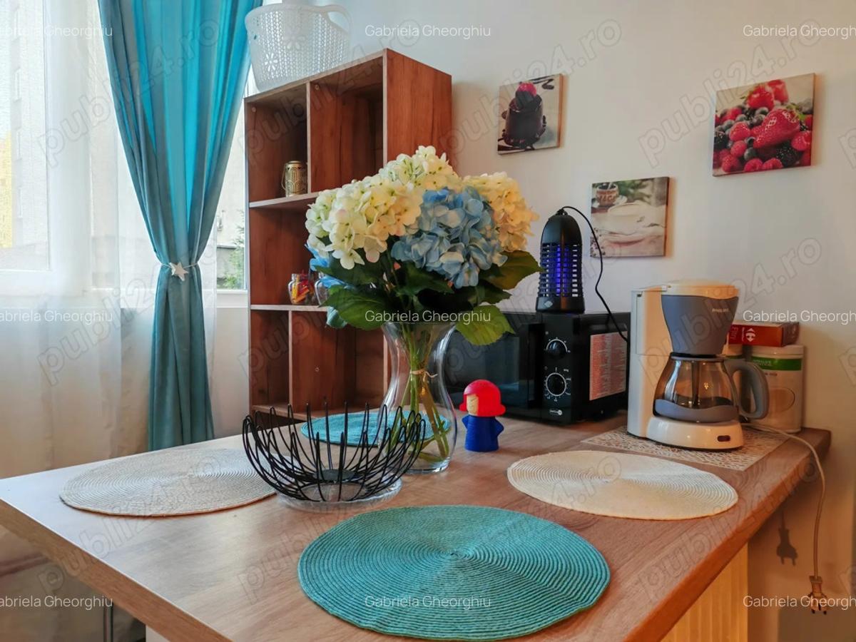 Cozy Blue Home Manastur isi cauta chirias - 1