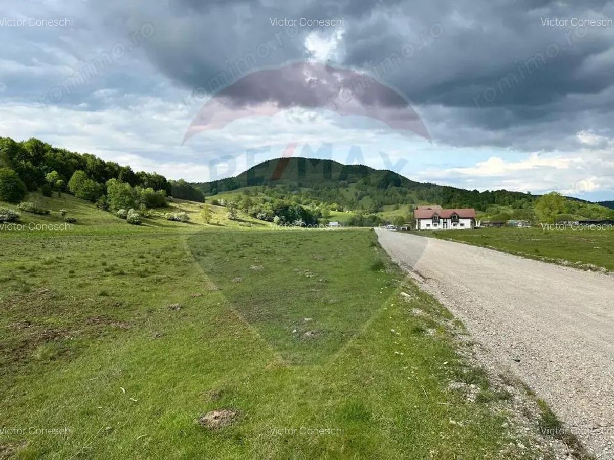 OPORTUNITATE! Teren 5,000 mp Vama Buzaului / Drumul DJ103A - 3