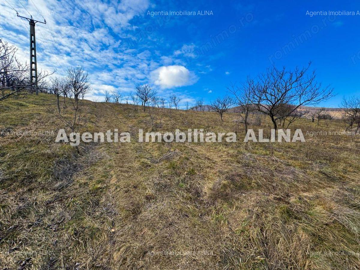 15 parcele de Teren intravilan in Deva, zona Calugareni, Strada Prunilor, Jud. Hd, cu PUZ, PUD, etc. - 12