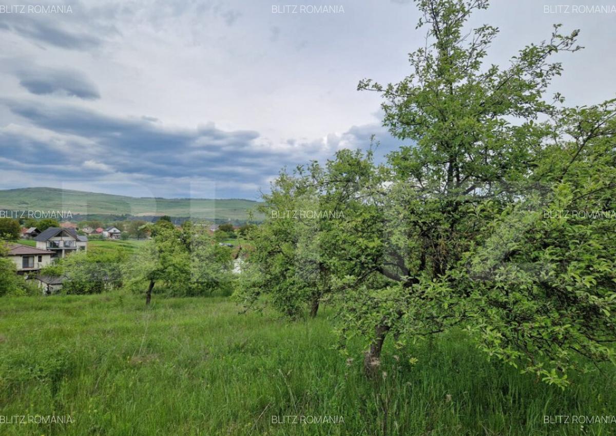 Teren extravilan de vanzare 1500 mp, livada, ideal pent - 1