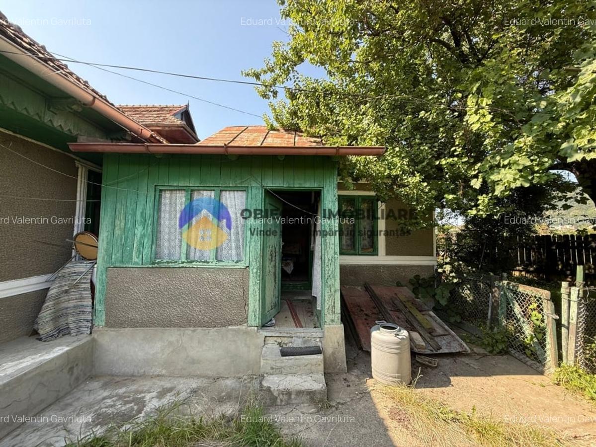 Casa batraneasca / Piatra Neamt / Pentru iubitorii de natura - 17