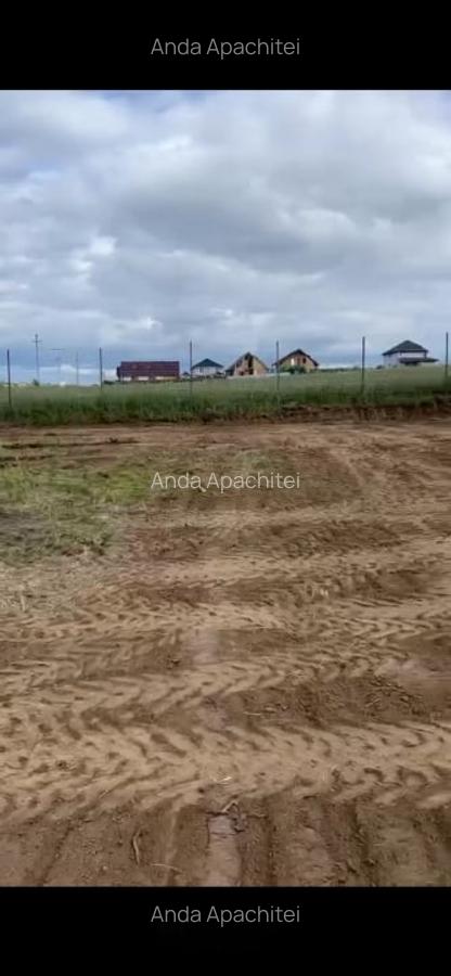 Teren Intravilan 550 mp Bod/Sanpetru - 1 Teren Intravilan 550 mp Bod/Sanpetru - 1