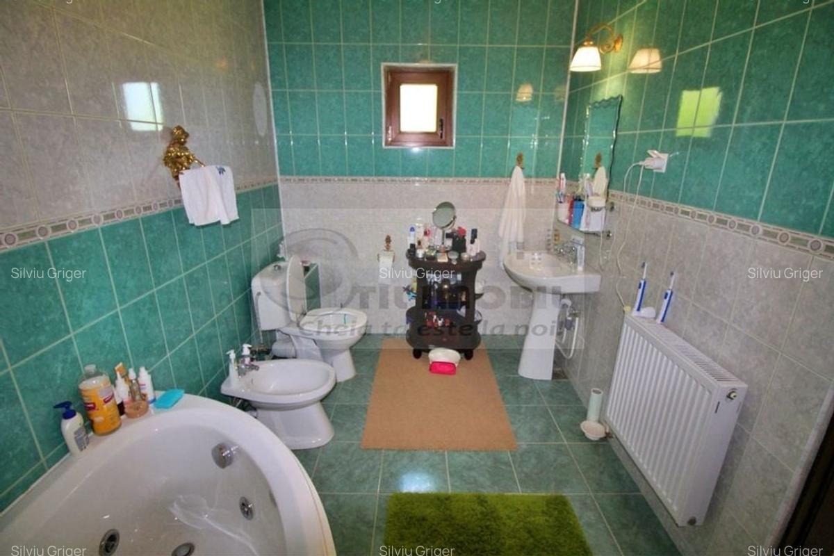 Vilă de vânzare - Valea Adâncă 235.000 EUR - 8