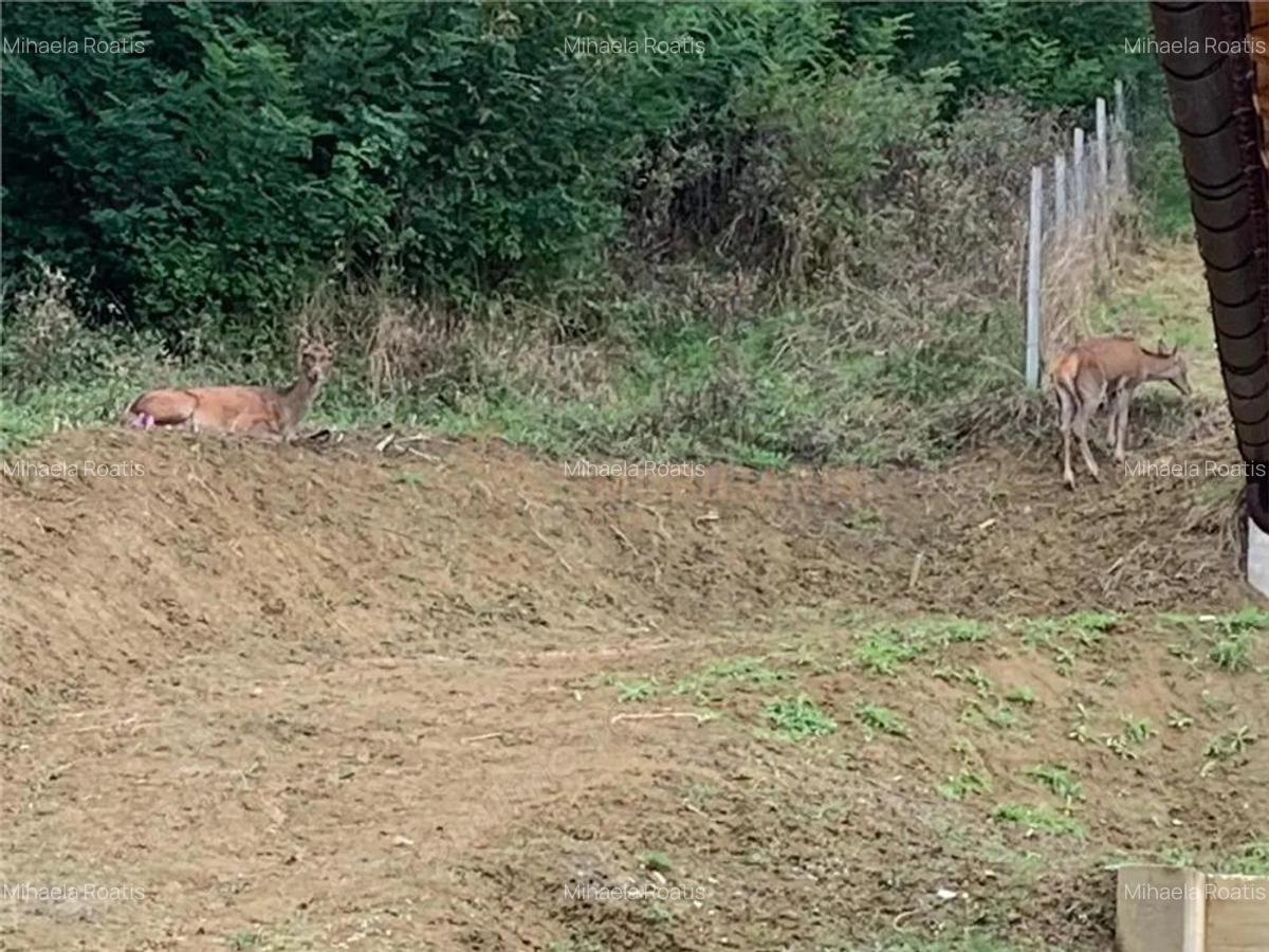 De vanzare- Duplex Tautii de Sus - 2