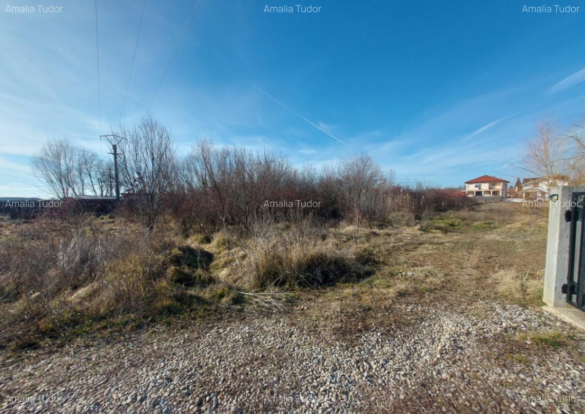 Loc de casa cu utilita?i, 944mp, 29m deschidere, Cioflice - 9