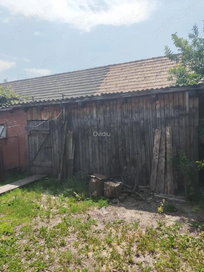 Vand casa Ru?ii Munti - 10