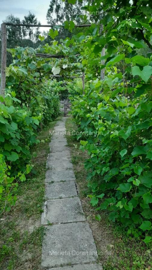 Casa de vanzare sat Carbune?ti, jud. Prahova - 3