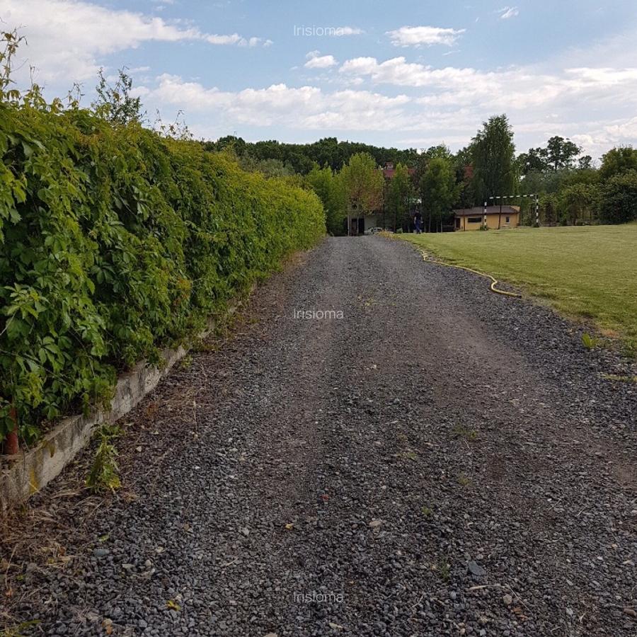 Teren intravilan 2.100 mp acces lac și utilități, Siliștea Snagovului - 8
