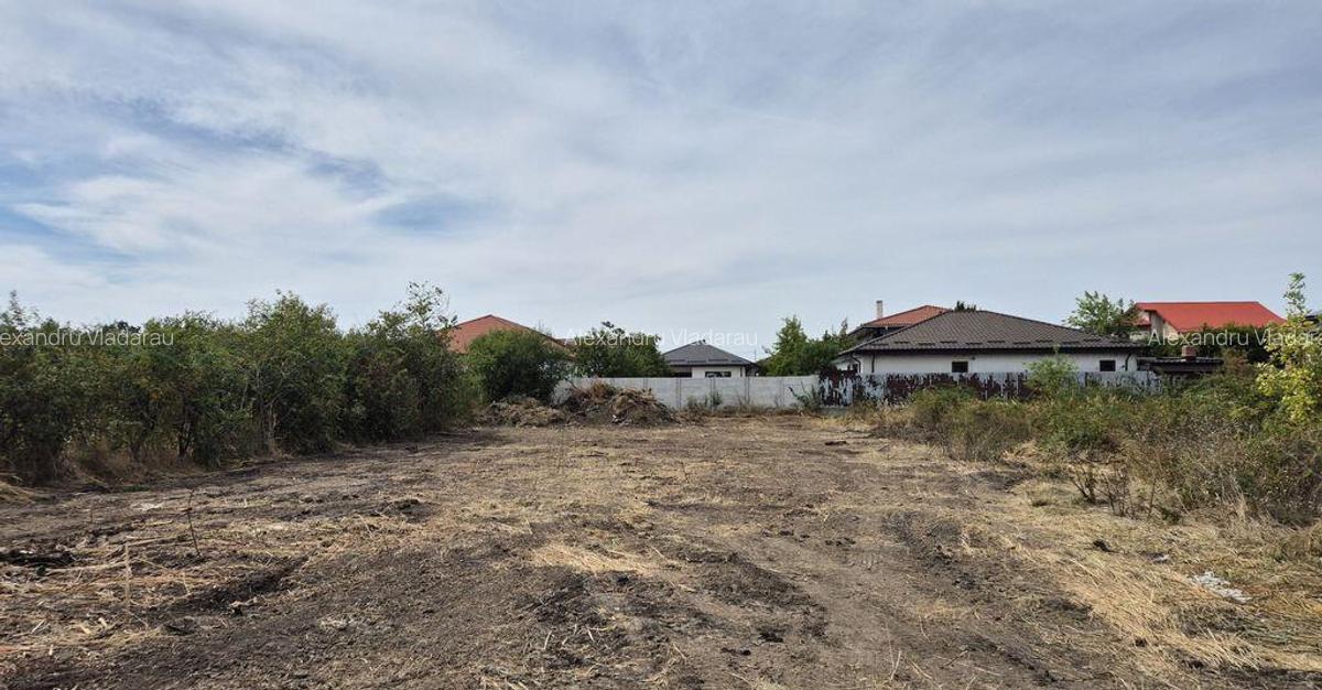 Teren intravilan 1000 mp - Domnesti - 4