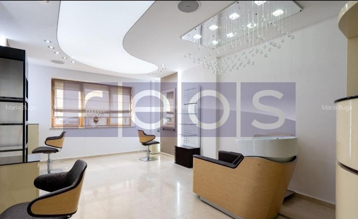 Vilă Premium ideală pentru Beauty Hub / clinică estetică  | Tei | an 2016 - 10