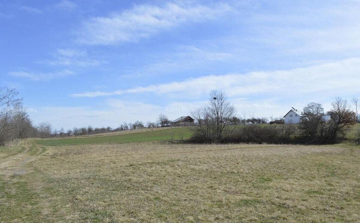 Suseni - Teren intravilan rezidential, suprafata 4000 mp - 7