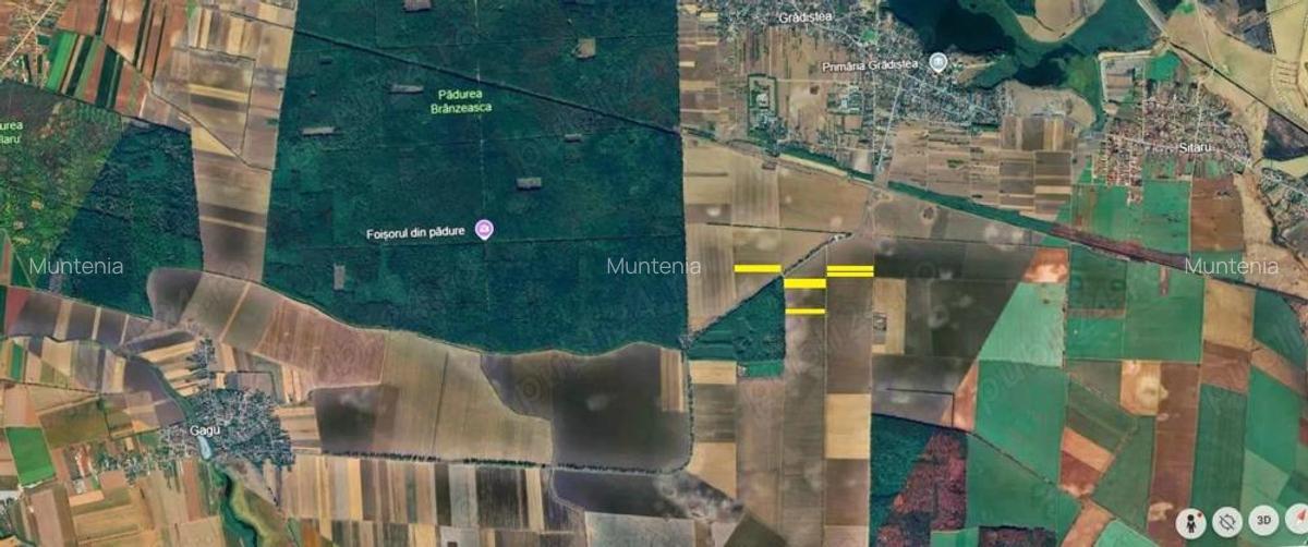 Gradistea - Tarla 34, teren 16.450 mp. in apropiere de DJ 200 si Padure - 2