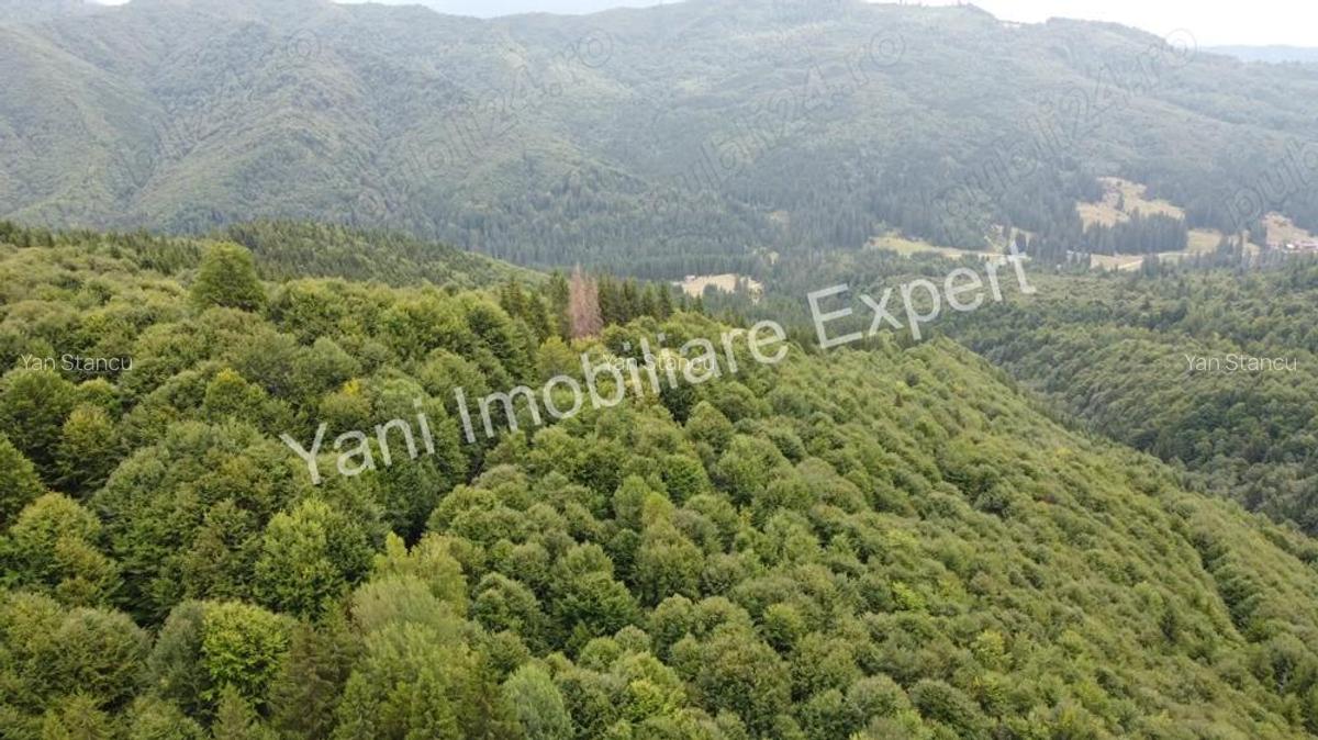 Teren de vanzare in apropiere de Transfagara?an ?i Valea Valsanului. - 10