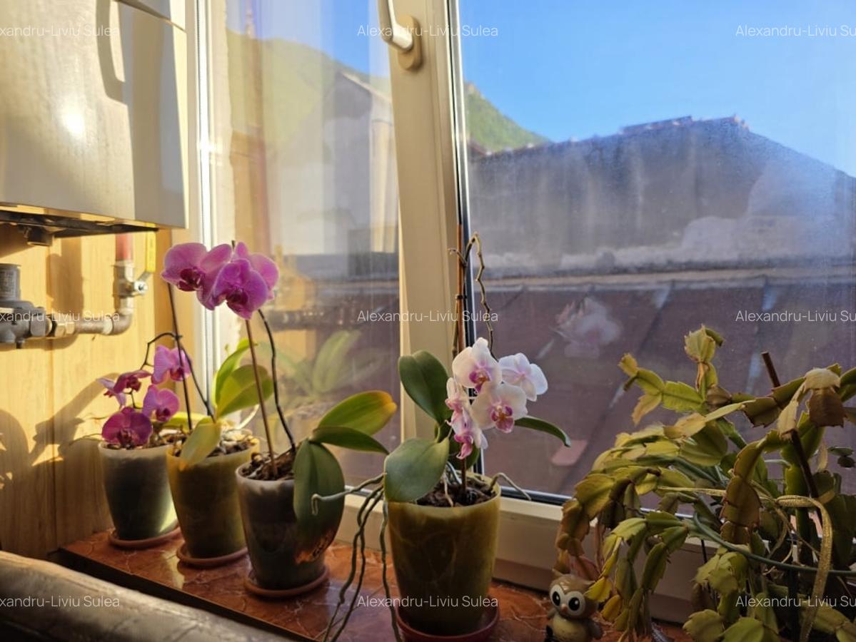 Apartament cu 3 camere, Postavarului, Centrul Istoric - 6