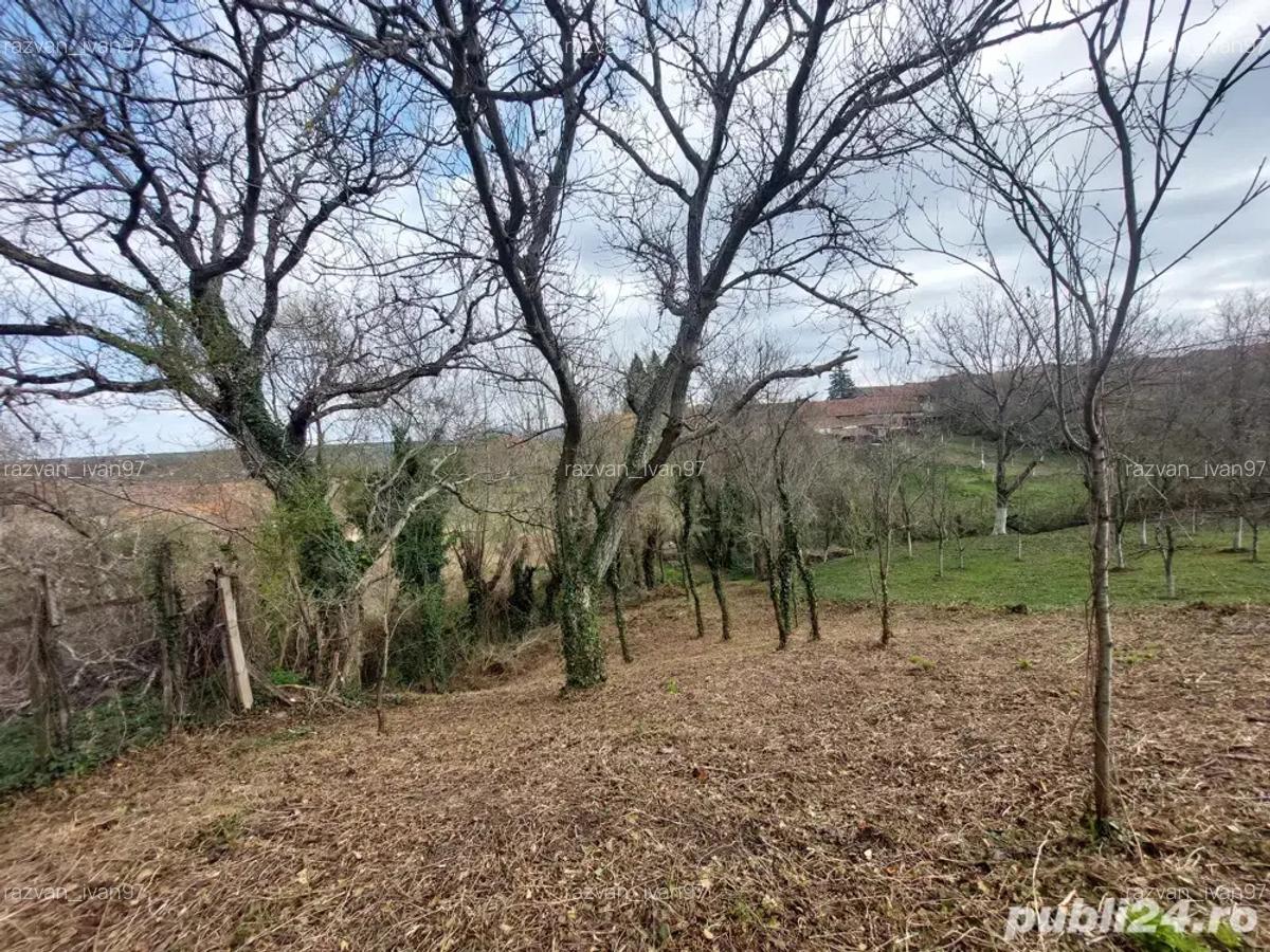 Casa de vanzare de la proprietar in Slatina-Nera, jude?ul Cara?-Severin - 2