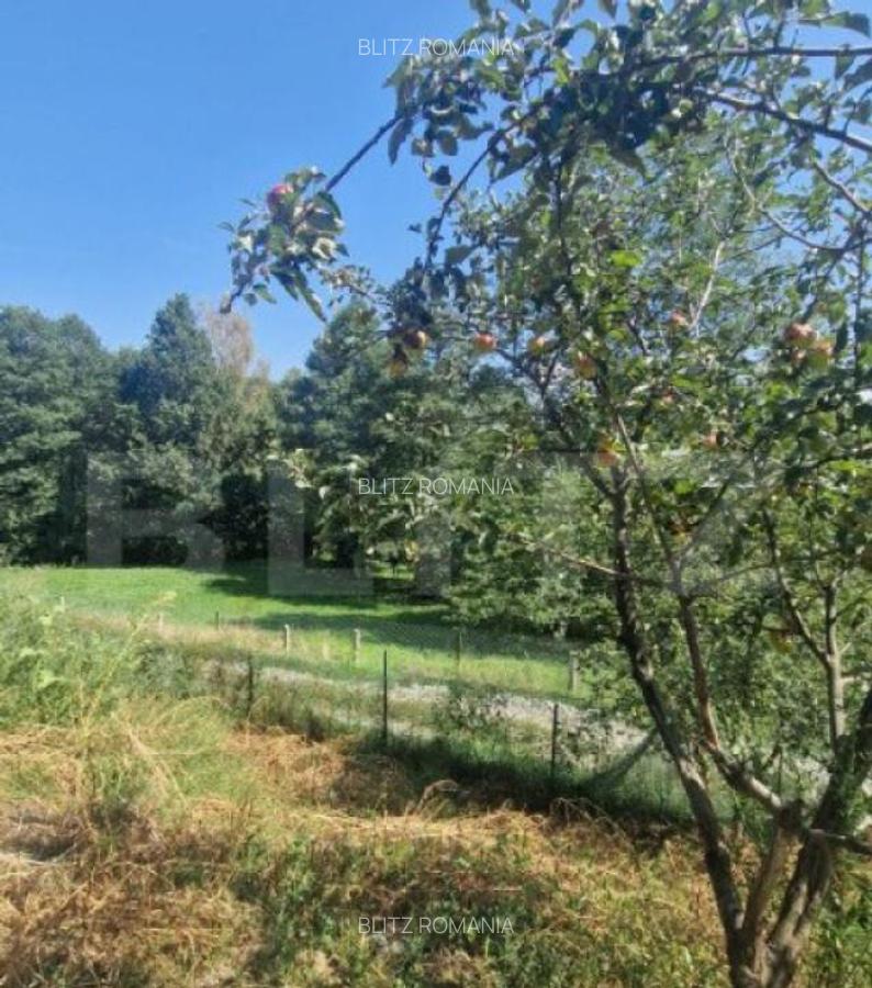 Casa PREDELUT , 4 camere - 10