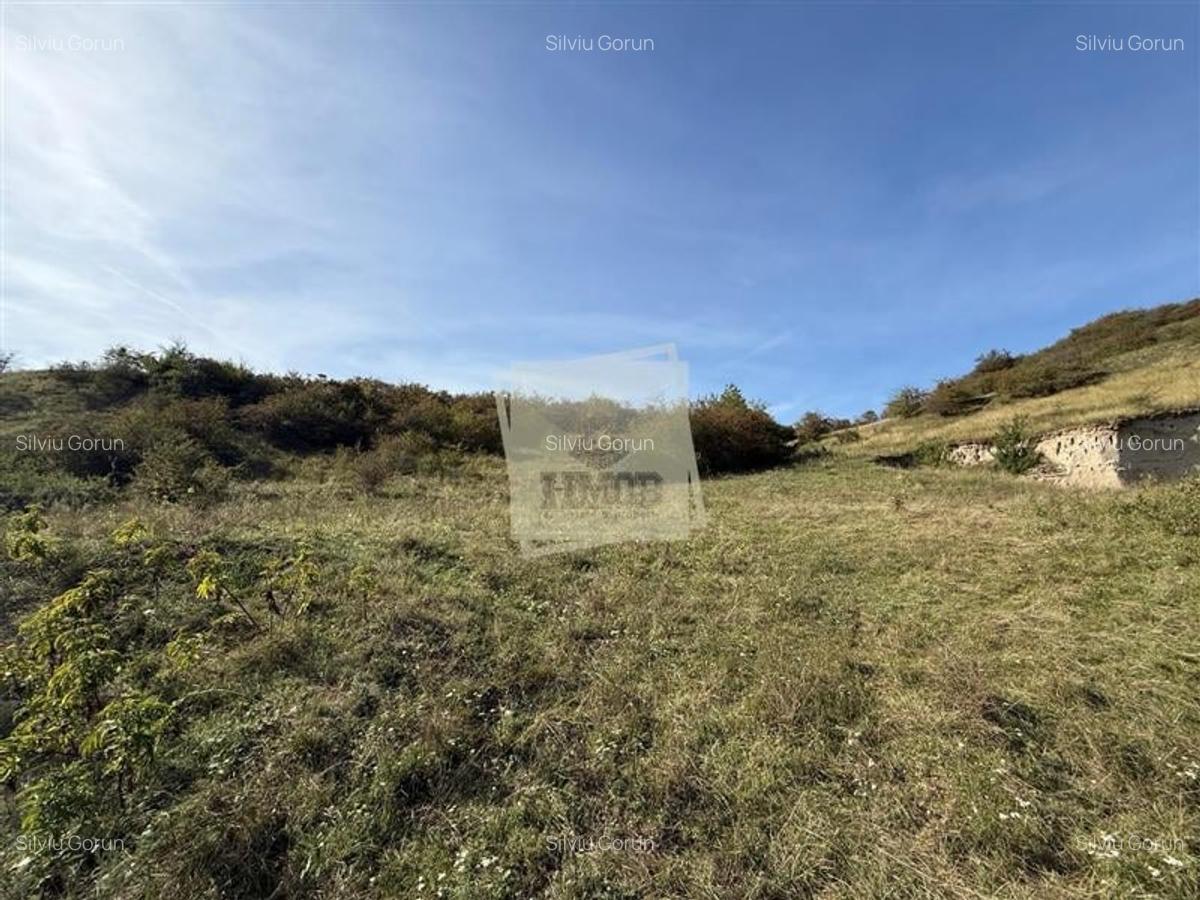 Teren extravilan 40.000 mp sau 80.000 mp in Gusterita - 7