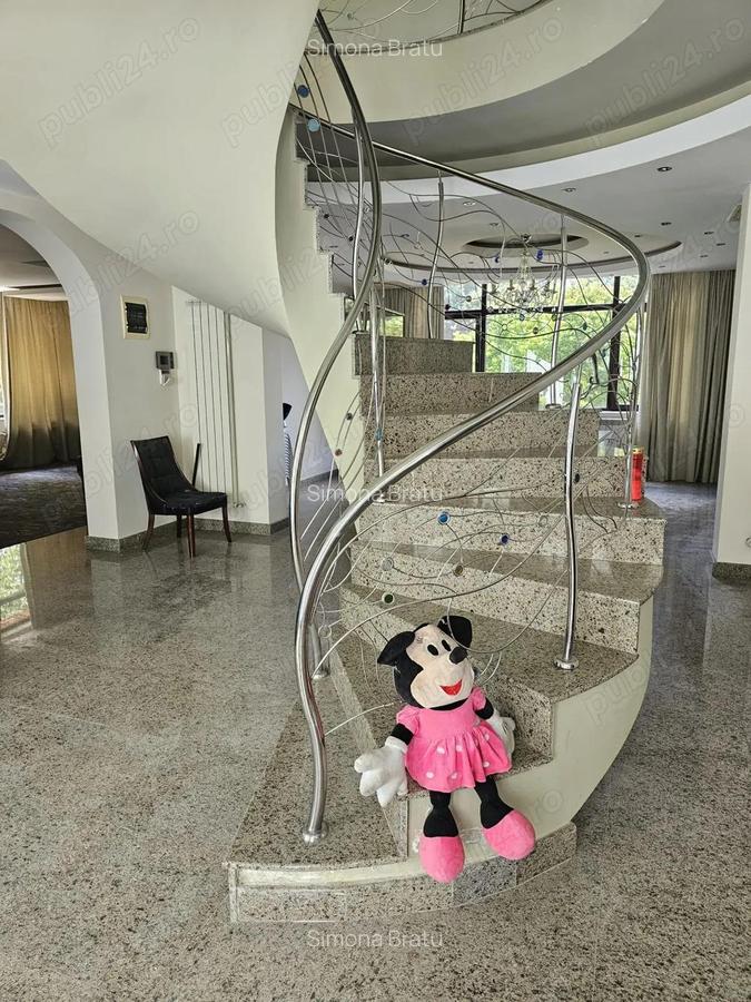 Vand vila in com Pantelimon - 7