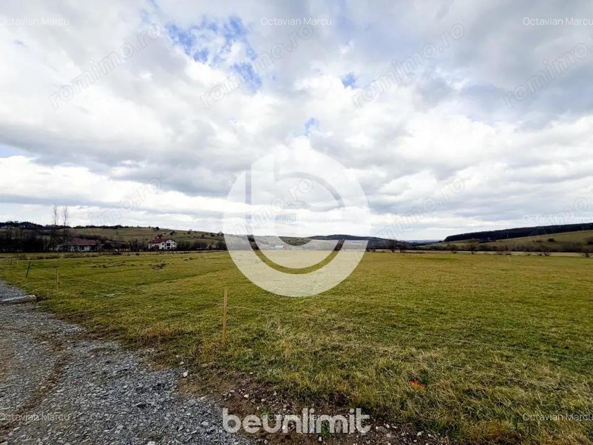 Teren intravilan in Tocile - 4354 m2 - 2 fronturi - oferta competitiva - 15