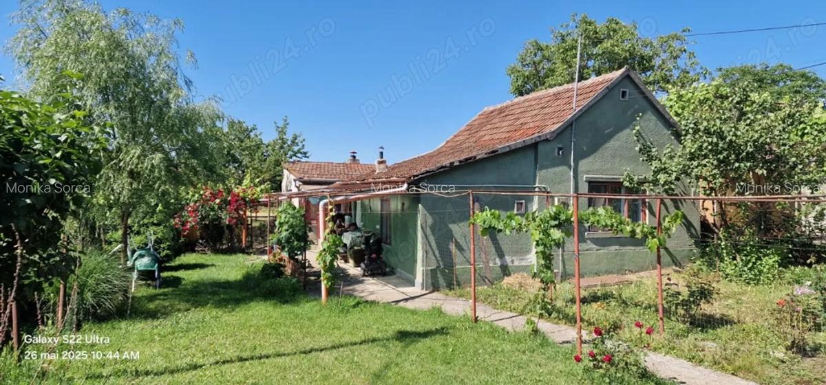 Casa confec?ii silvas - 2