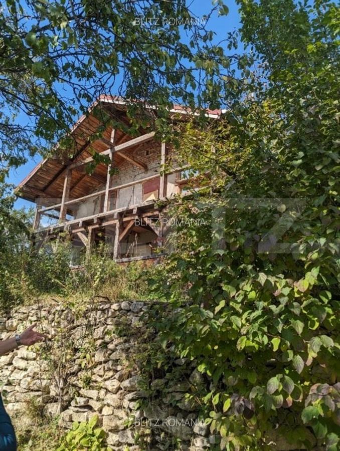 Casa 3 camere si teren 4873 mp  in Pietroasa, Moldovenești - 1