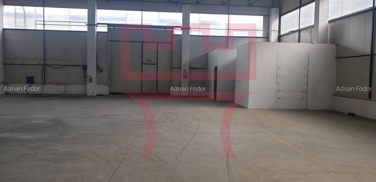 Hala spatiu industrial depozitare productie showroom cu birouri - 1